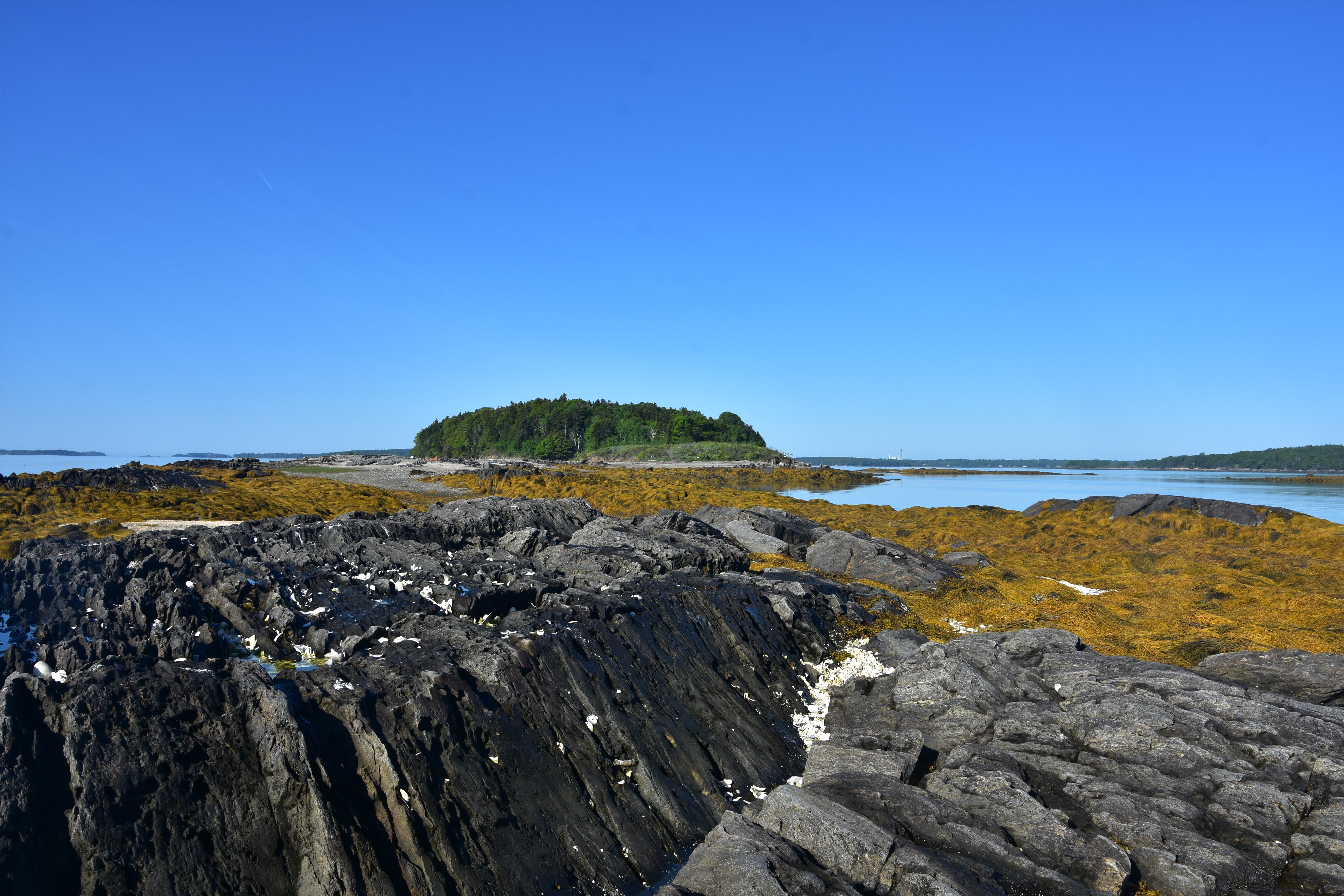 Low tide reveals the rugged and rocky coastline of an island in the scenic waters of Casco Bay, Maine.